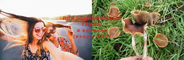 экстази Абаза