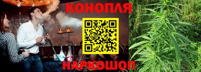 гидропоника Славгород