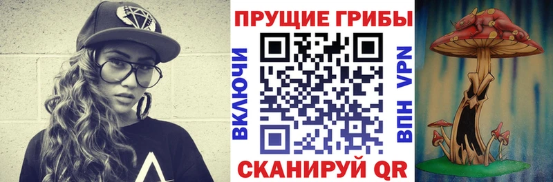 Псилоцибиновые грибы GOLDEN TEACHER Тавда