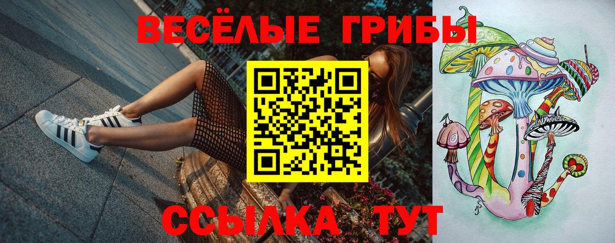 Псилоцибиновые грибы MAGIC MUSHROOMS  Вход с VPN  Галлюциногенные грибы Cubensis  Тавда 